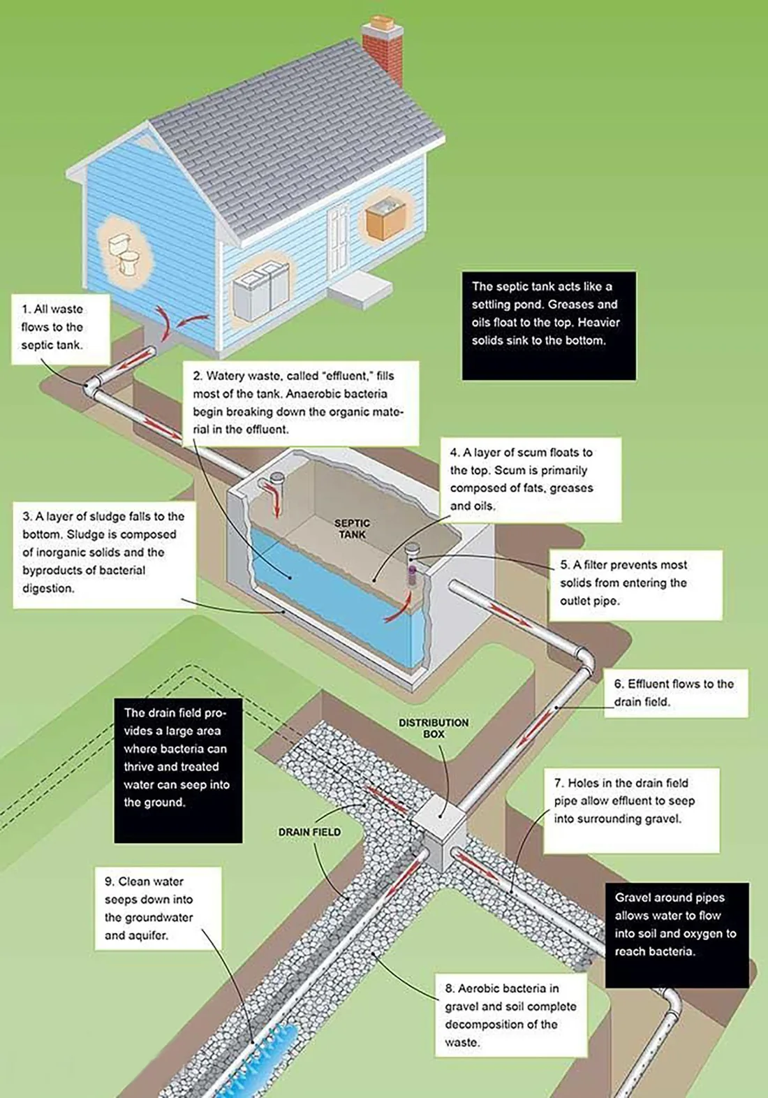 Illustrated diagram of a household septic system